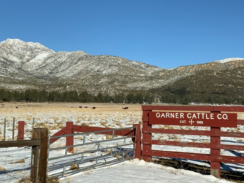 Mountain Center